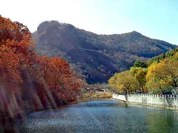 日韩美脚连裤袜丝袜在线，钢塑土工格栅价格